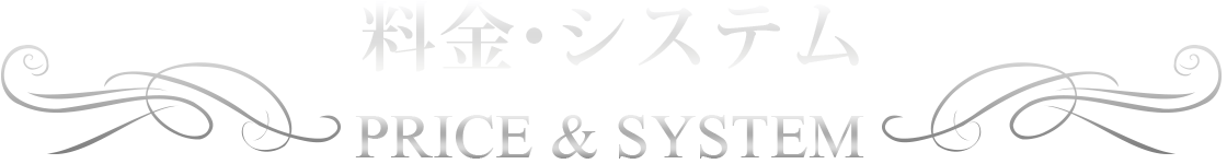 料金・システム